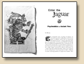 Enter the Jaguar