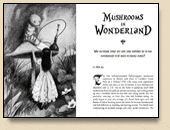 Mushrooms in Wonderland